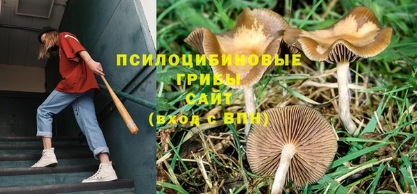 дурь Абаза