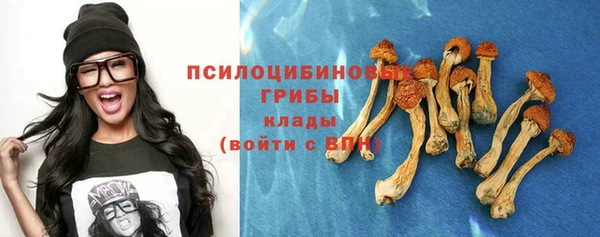 дурь Абаза