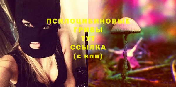 дурь Абаза