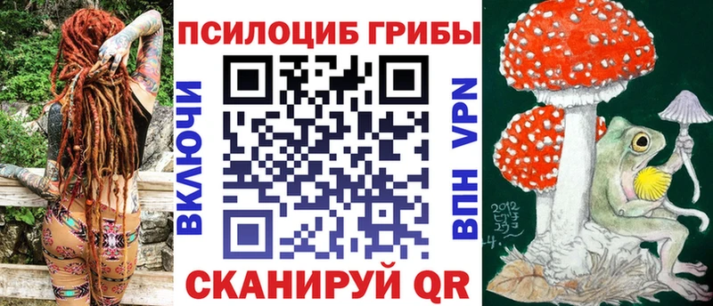 купить наркоту  Егорьевск  блэк спрут ONION  Галлюциногенные грибы Cubensis 